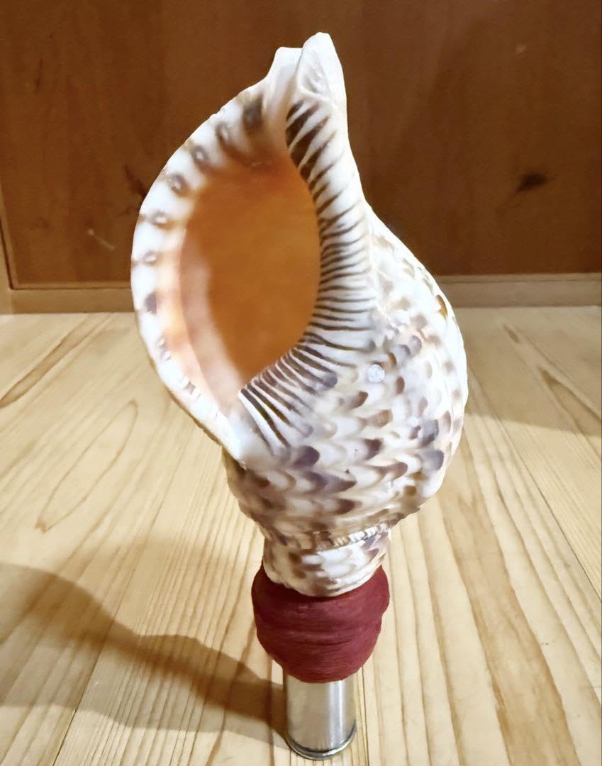 【美品】法螺貝 38cm・ほらがい・ホラガイ・No.133 タカシェル 法螺貝 ほらかい ホラガイ ほら貝 口金
